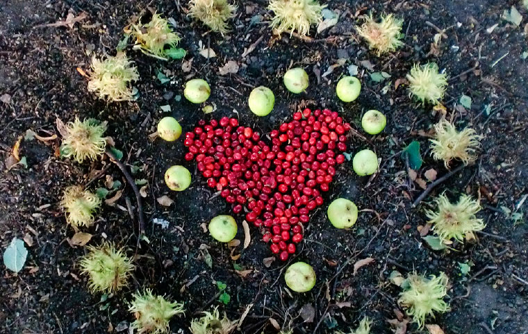 Landart Kunst Natur Rostock Südstadt